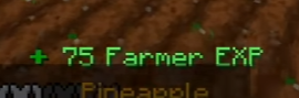 Untitled.png