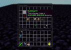 PikaNetwork - OP Skyblock - #1 Bounty.png