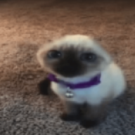 __yr