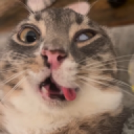 Yassuu_