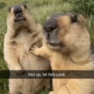 qwikxz_