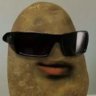 RobustVoice