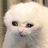 Pepper_120