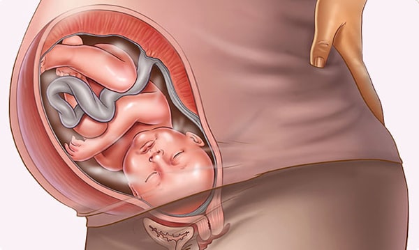 Từ tuần 36, mẹ nên hoàn thiện kế hoạch nhập viện và sẵn sàng khi xuất hiện dấu hiệu chuyển dạ 