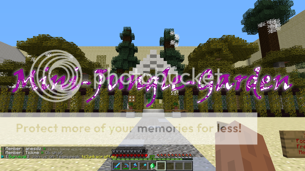 garden_zpsut8hwnnx.png